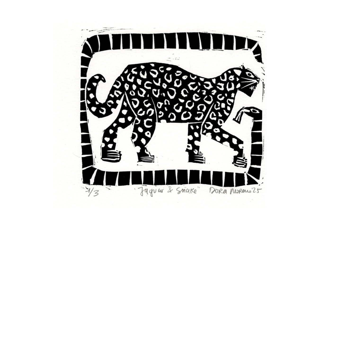Limited Edition Printmaking - Jaguar & Snake